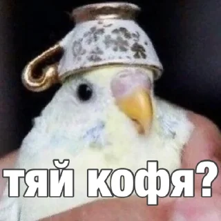 😋
