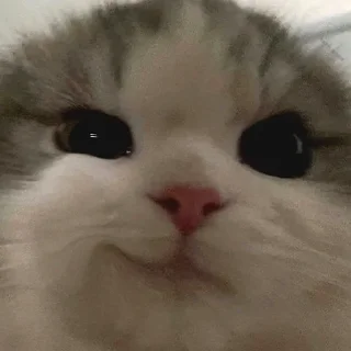 😏