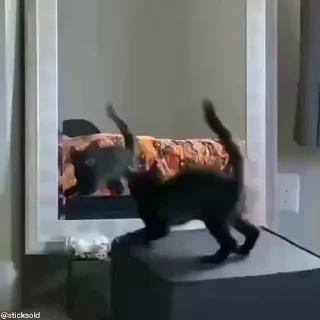 🕺
