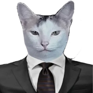 👨‍⚖️