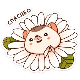 🌼