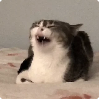 😆