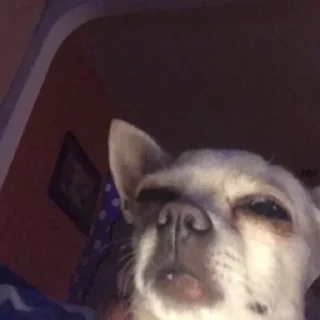 😶