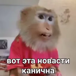 🤯