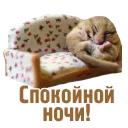 💤