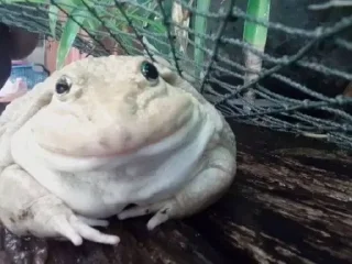 🙃