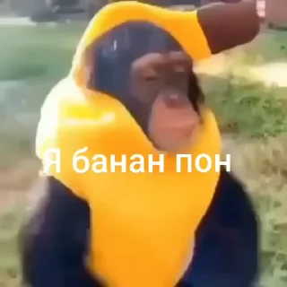 🌟