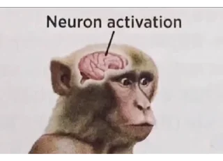 🧠