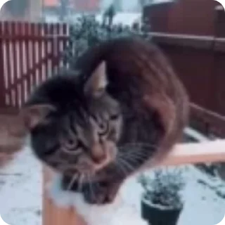 😔
