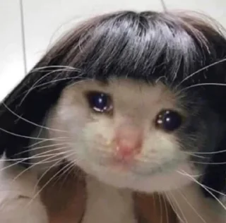 😭