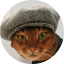 🐱