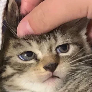 🤨