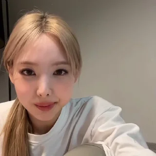 🐰