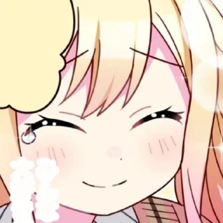 ✨