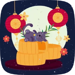 🌛