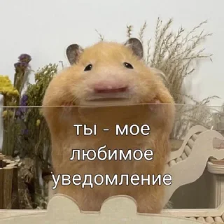 🐹