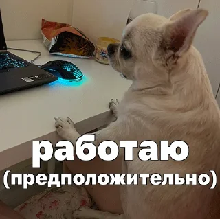 🧑‍💼