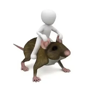 🐀