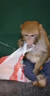 😏