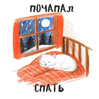 😴