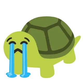 🐢