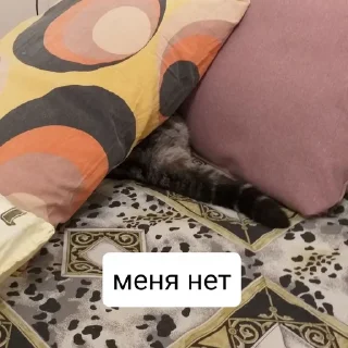 🙈