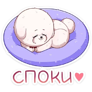 😴