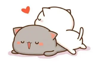 😴