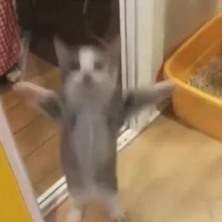 👋