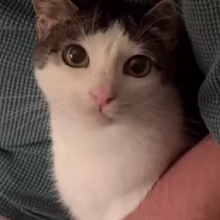🙄