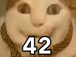 😼