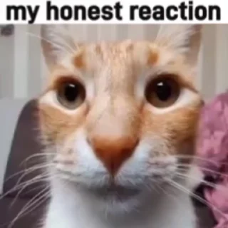 😳