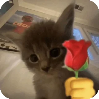 🌹