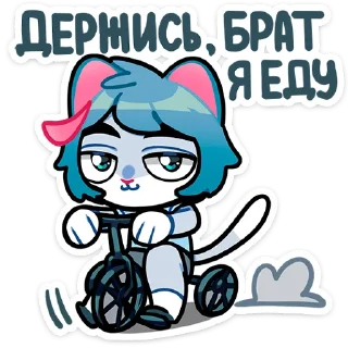 🚴‍♂️