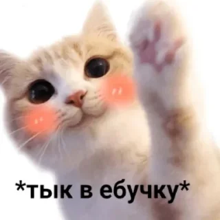 😊