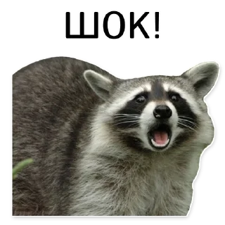 😱
