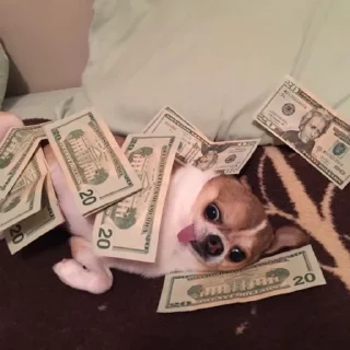 💵