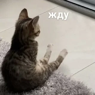 ⏳