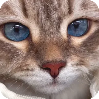 😍