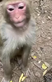 🤩