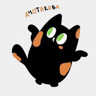 Коть