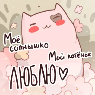 😻
