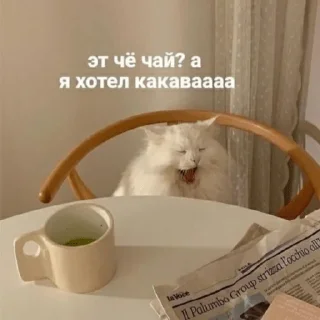 😴