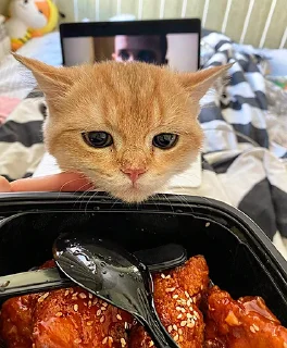 🍝