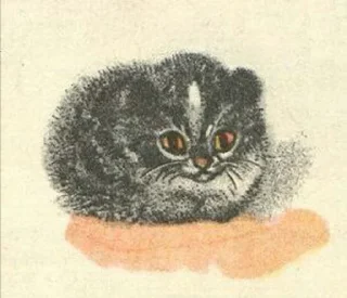 🐱