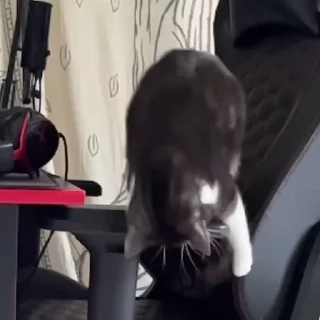 😩