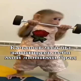 🐵