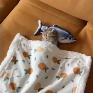 💗