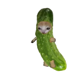 🥒