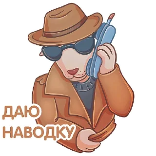 😎